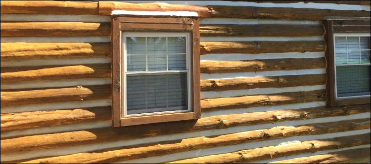 Log Home Whole Log Replacement  Dodge County, Georgia