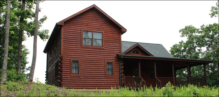 Professional Log Home Borate Application  Dodge County, Georgia
